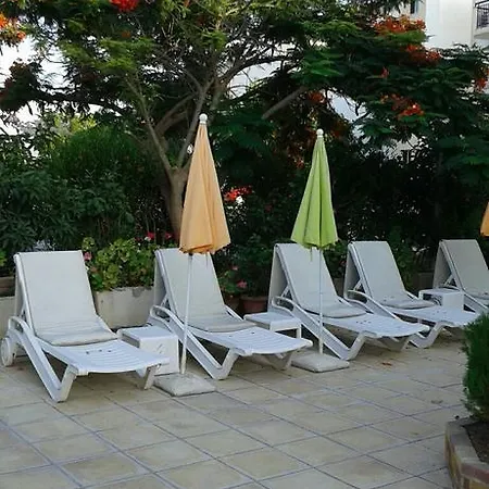 Nicos & Olympia Polis