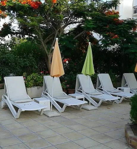 Nicos & Olympia Polis