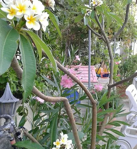 Apartman Nicos & Olympia Polis